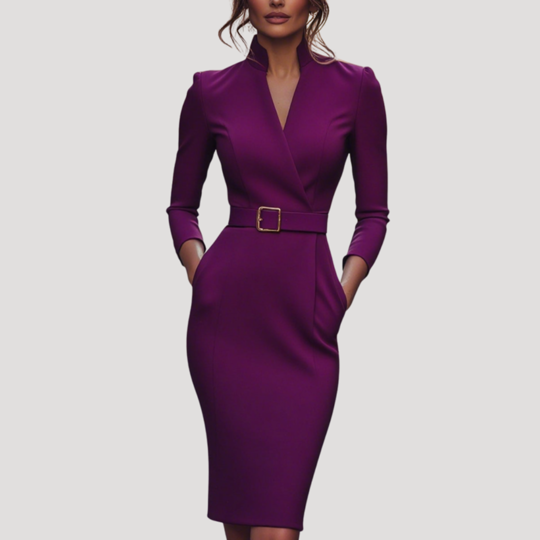 Darcy | Bodycon Belted V Neck Autumn Work Interview Midi Long Sleeve Dress Women