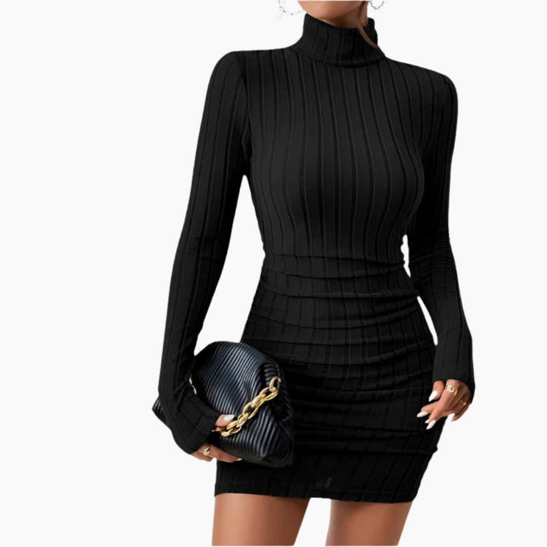 Anya | Roll Neck Long Sleeve Bodycon Ruched Autumn Ribbed Knit Mini Jumper Dress Women