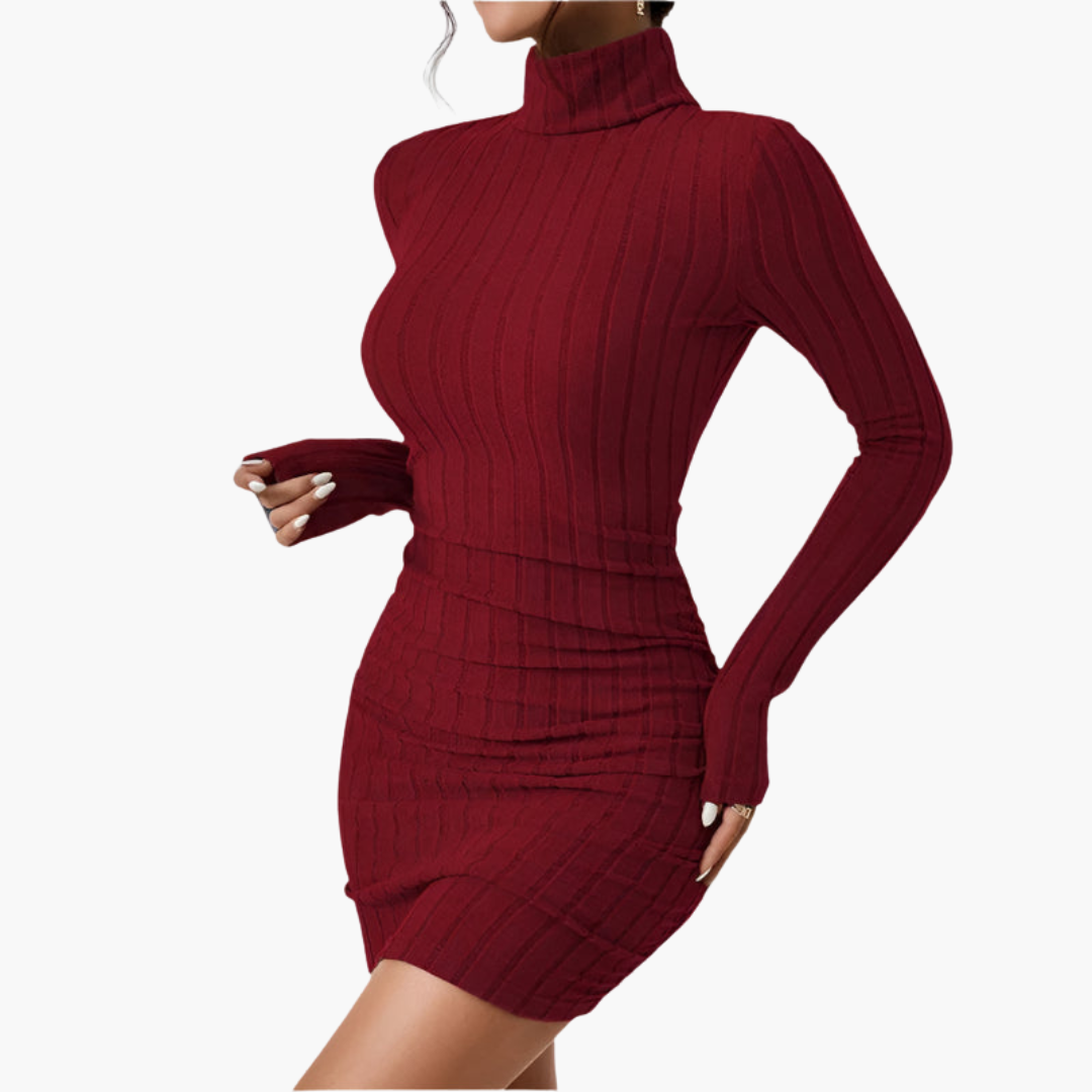 Anya | Roll Neck Long Sleeve Bodycon Ruched Autumn Ribbed Knit Mini Jumper Dress Women