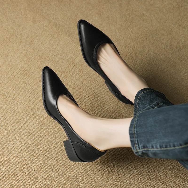 Ariel | Pointed Toe Faux Leather Slip On Autumn Smart Work Low Heel Court Shoes Women