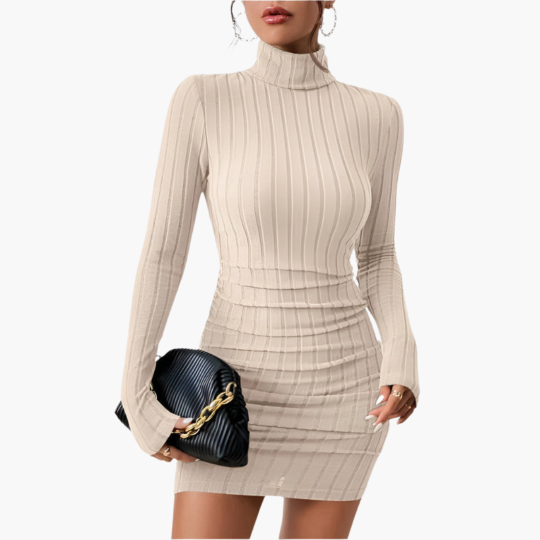 Anya | Roll Neck Long Sleeve Bodycon Ruched Autumn Ribbed Knit Mini Jumper Dress Women