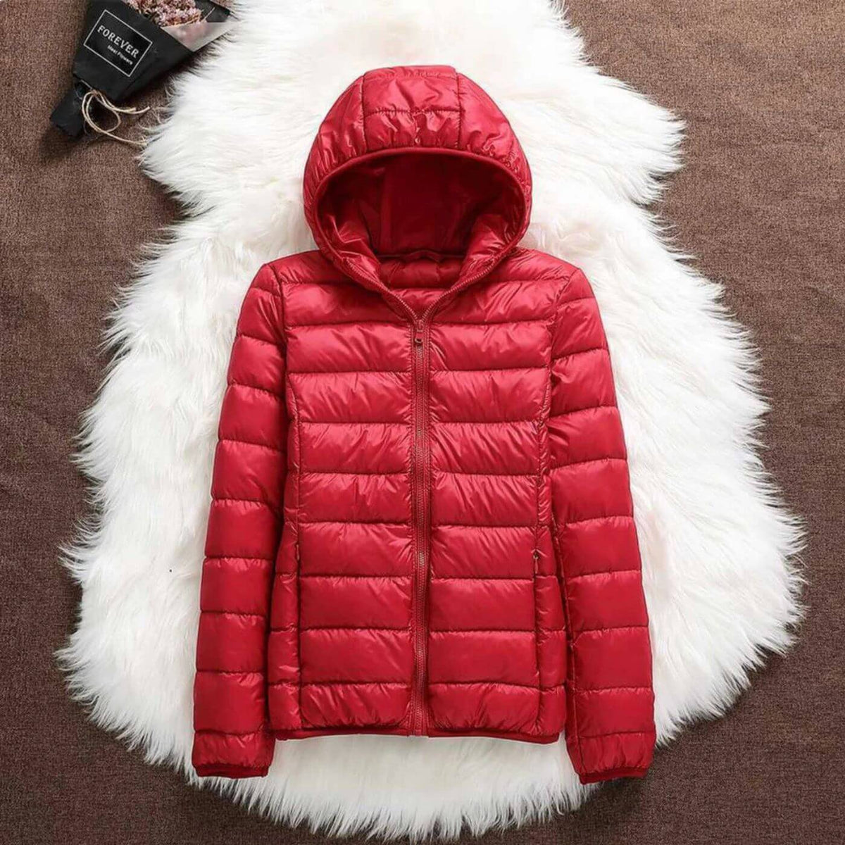 Enya | Winter Fitted Shiny Quilted Zip Up Hooded Padded Puffer Jacket Women
